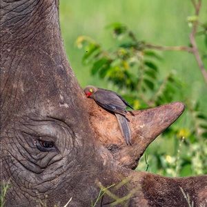 Meet your Posher, Gabby